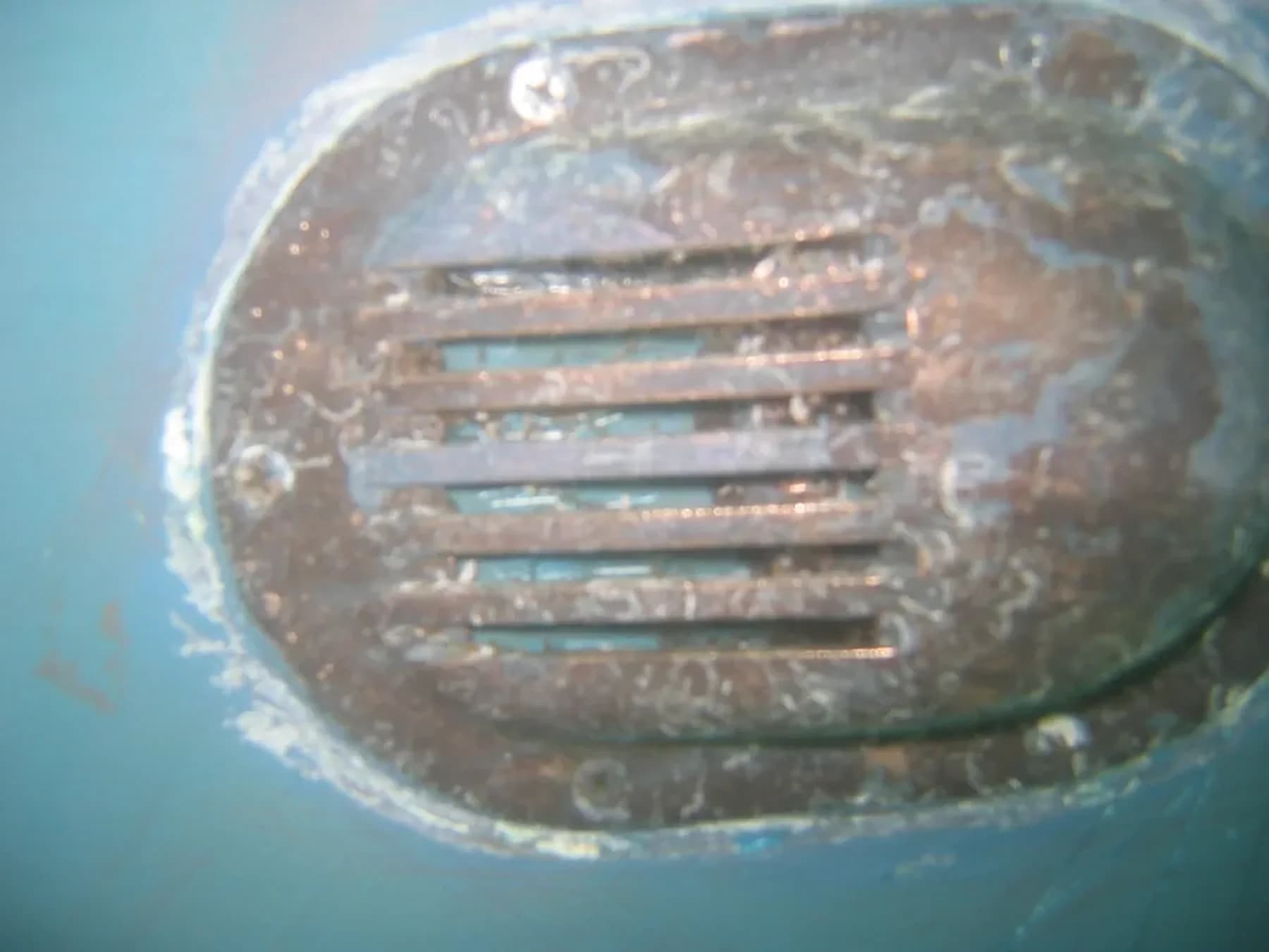 Hull Surface showing marine growth at Day 3 in Southern California waters